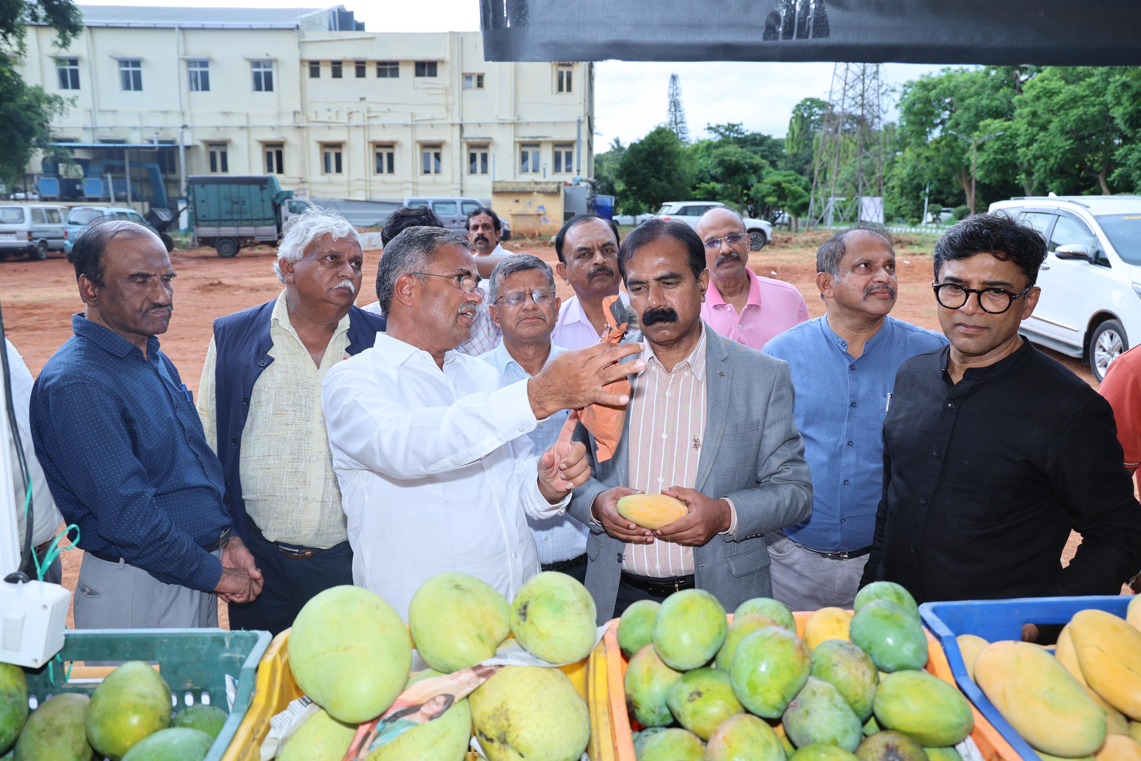 Multipurpose template